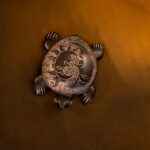 Oil Polished Stone Tortoise Detail View