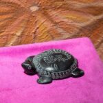 Polished Stone Tortoise Shopise